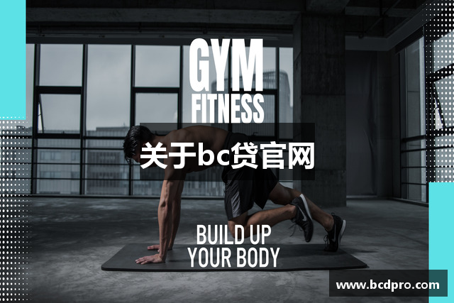 关于bc贷官网
